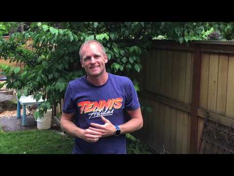 FOREHAND TIPS with Walter Seidel