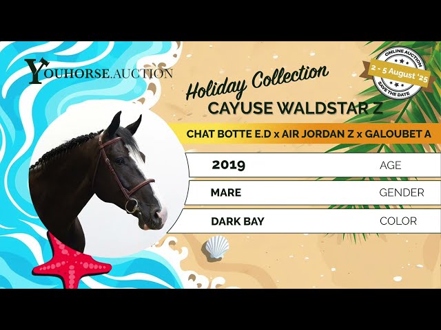 Cayuse Z