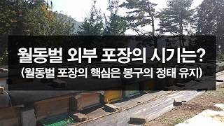월동벌 외부포장의 시기와 월동벌 관리의 핵심은?