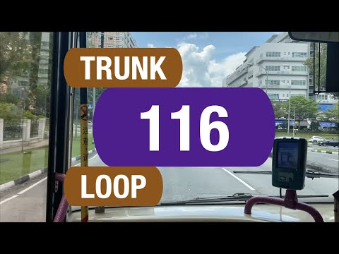 SBS Transit Trunk 116 | Bus Service Route Visual