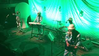 The Residents - tourniquet of roses, live 2018