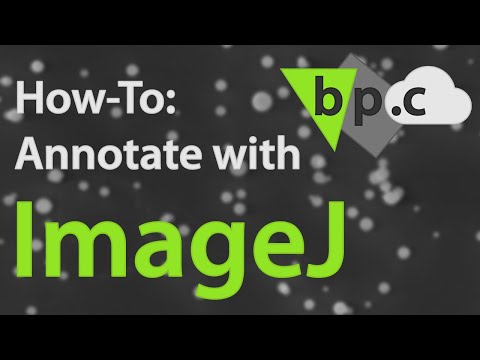 download lagu mp3 mp4 Imagej Add Text, download lagu Imagej Add Text gratis, unduh video klip Imagej Add Text