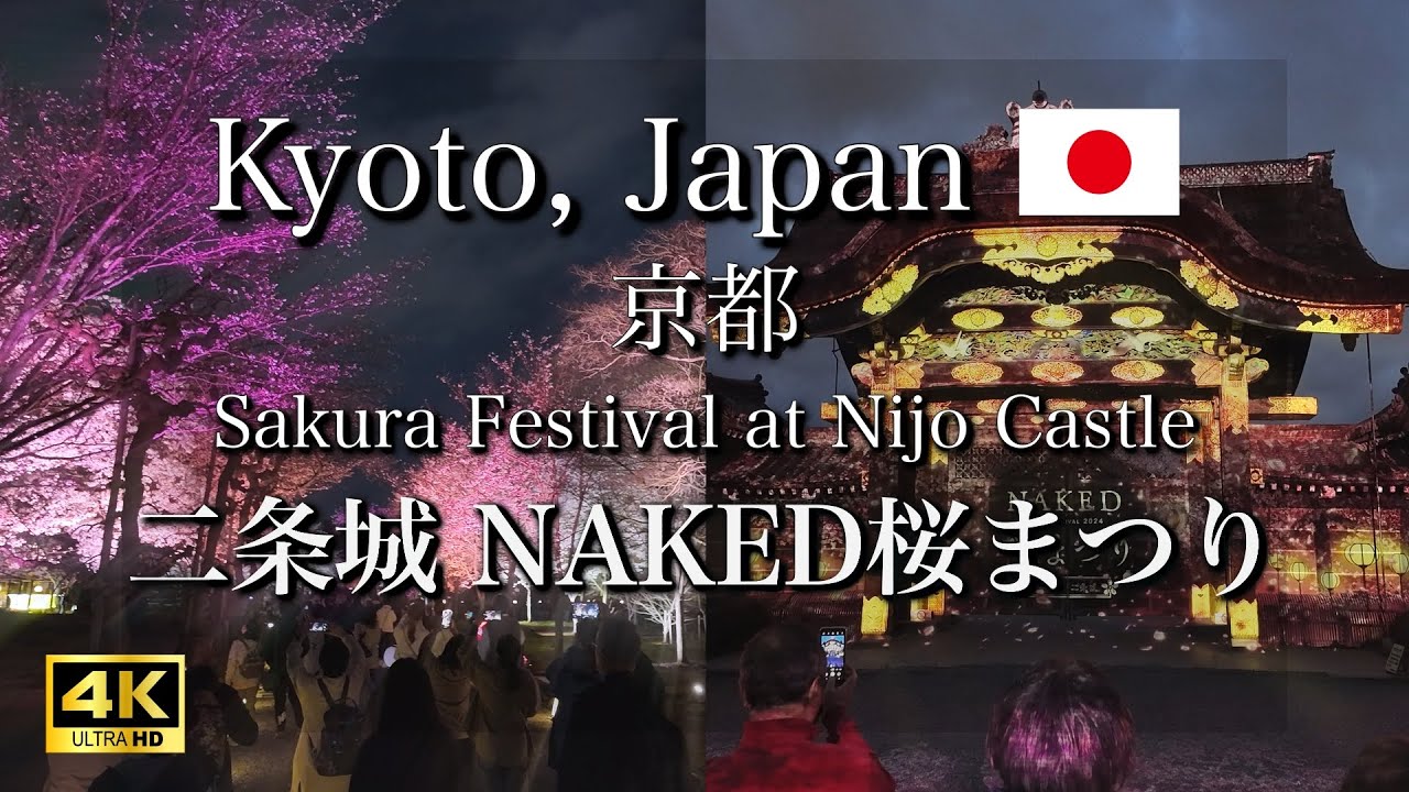 Experience the mesmerizing Sakura Fest at the historic Nijo Castle.