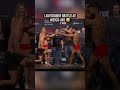 When Star Wars met the UFC ?