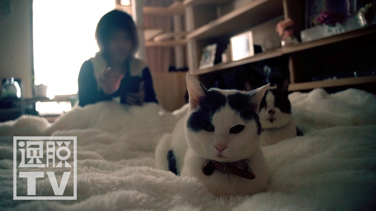 【境界性人格障害】"最強の睡眠薬"を大量服用して製造中止に…メンヘラ女子の末路