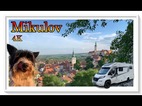 🇨🇿 Mikulov (Nikolsburg) - Tour with camper and dog - Insider tip - beautiful Czechia - Spring 2024