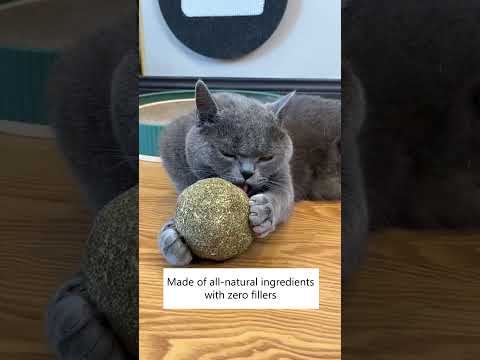 What a HUGE Catnip BALLS!