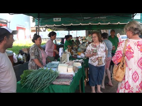 Gobernación de Itapúa impulsa finalización del local agroecológico en Nueva Alborada