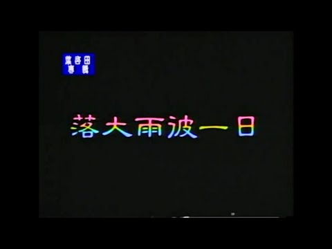 葉啟田 - 落大雨彼一日