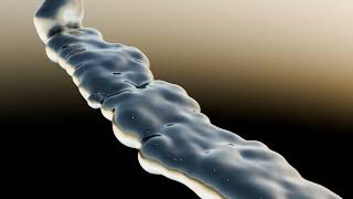 Dynamic Water Flow Effect video thumbnail