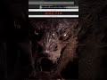 Huge Dragon Sound Effects