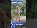 Viral Bandar Ka Dance Patlikamariya Mor Hi Hi Video Monkeydance