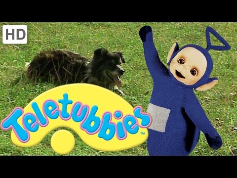 Teletubbies: Animals Pack 3 - Full Episode Compilation