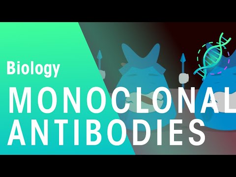 Monoclonal Antibodies | Health | Biology | FuseSchool