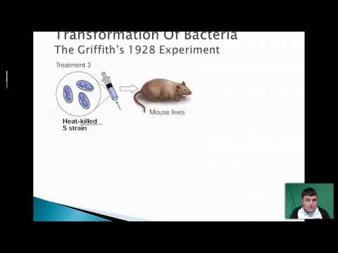 History of DNA Discovery