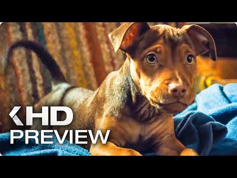 A DOG'S WAY HOME - First 10 Minutes Preview & Trailer (2019)