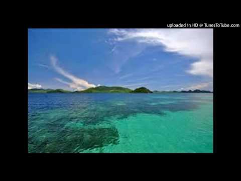 Martin Solveig X GTA X Fetty Wap - Intoxicated Trap Queen (Stephen O'Connor remix)