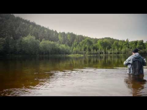 Flyfishing in Rena river Norway. Grayling and trout.
