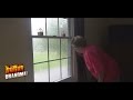 Angry Grandma The Horrible Storm