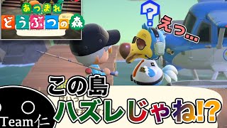 このマイルツアー... ハズレじゃね?【あつまれどうぶつの森】#13