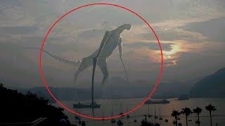 Download lagu 10 Mysterious Giant Creatures Caught on Tape mp3 Download lagu 10 Mysterious Giant Creatures Caught on Tape mp3