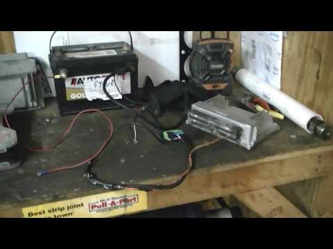 How to: Build a BENCH HARNESS & FREE ECM TUNING FOR 1999-2007 GM LS1 ECU