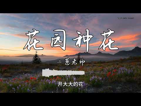 小葱老師