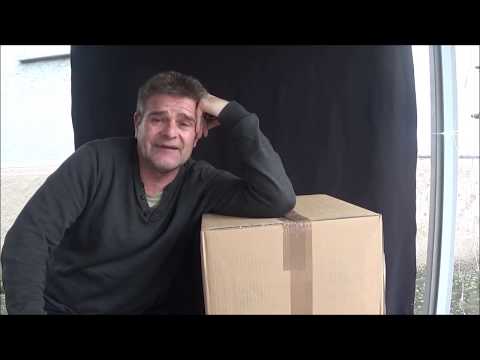 Bonsai 2020-1 - Mädchenkiefer - Pinus parviflora - erste Überlegungen zu den Zwillings-Bonsai