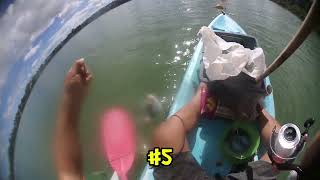 The best fishing day of this season. この夏、一番、鯛が釣れた日。一番大きな鯛も釣れたよ。オークランド ニュージーランド。