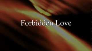 Forbidden Love lyrics - The Darkness