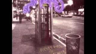 Spin Doctors - Sweet Widow from Pocket Full of Kryptonite