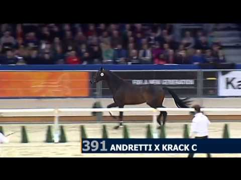 Gladstone (by Andretti x Krack C) - 2nd Phase - 2014 KWPN Stallion Licensing
