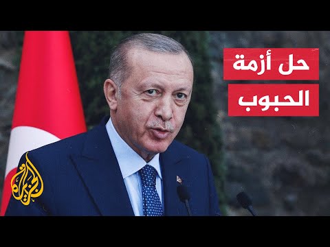 أردوغان سنزف البشرى إلى العالم بتوقيع اتفاقية تصدير الحبوب الأوكرانية