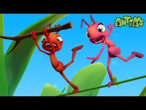 High Wire Act | 🐛 Antiks & Insectibles 🐜 | Funny Cartoons for Kids | Moonbug