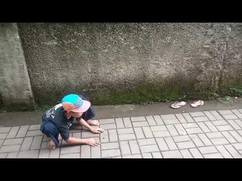 rojalinya ambyar 😂