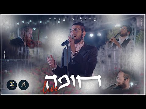 תצוגה מקדימה של סרטון