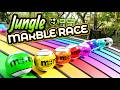 Big Marble Race Marbles In The Jungle Marbles Marblerace Animation Asmr Sensory Colorful