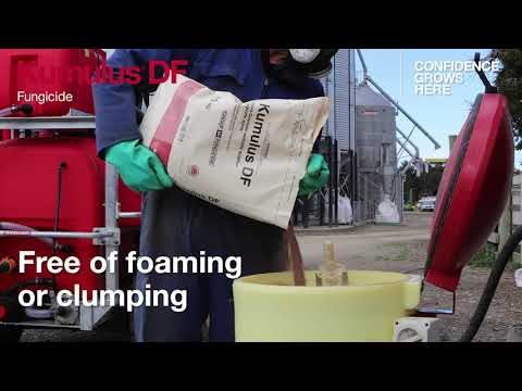 Kumulus DF Fungicide