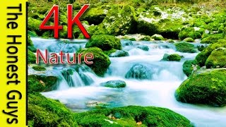 4K Nature + Sounds - 4 Hour Rocky Mountain Stream