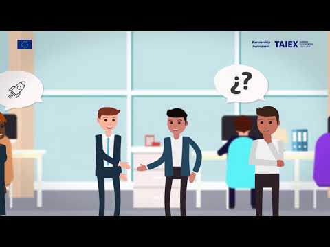 Technical Assistance and Information Exchange (TAIEX)