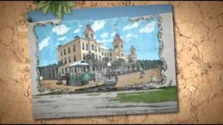 preview picture of video 'Palatka - City of Murals'