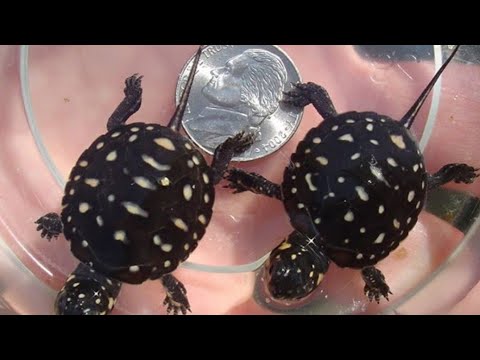 YouTube Video M479Ofw7lvY