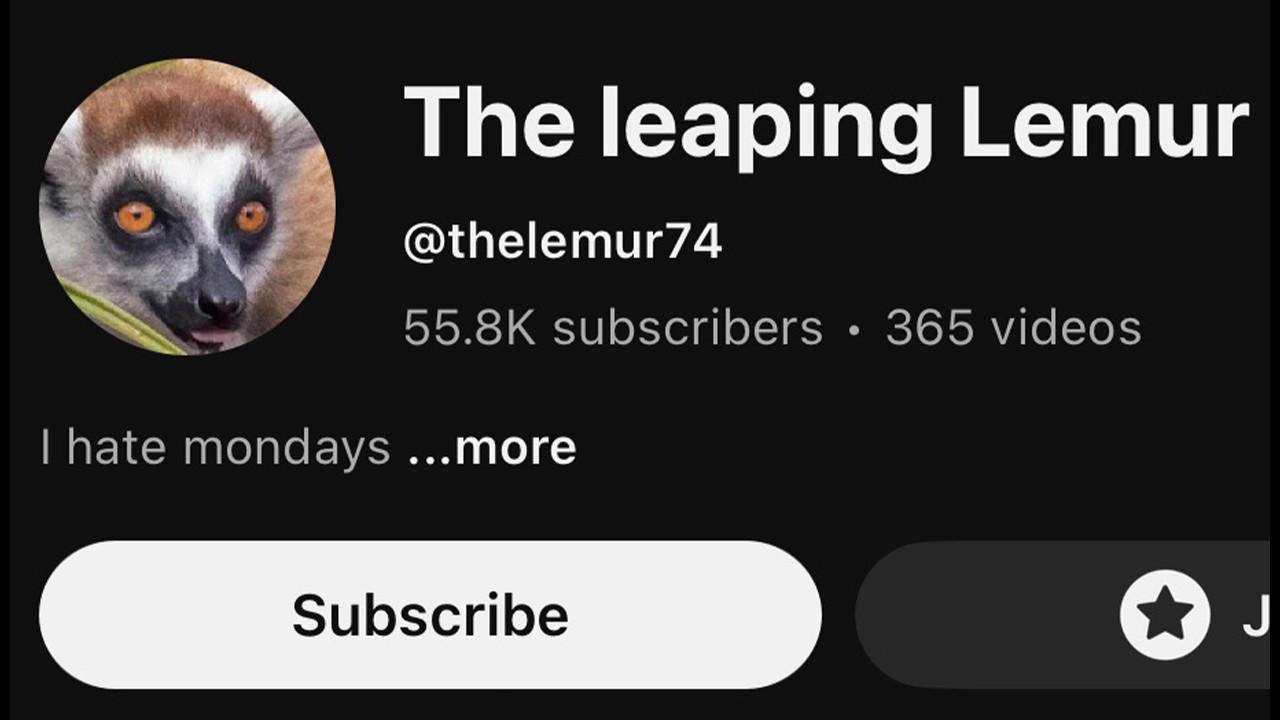 How A Lolcow Youtuber Became The Lowcow | The Tragic Downfall of The Leaping Lemur