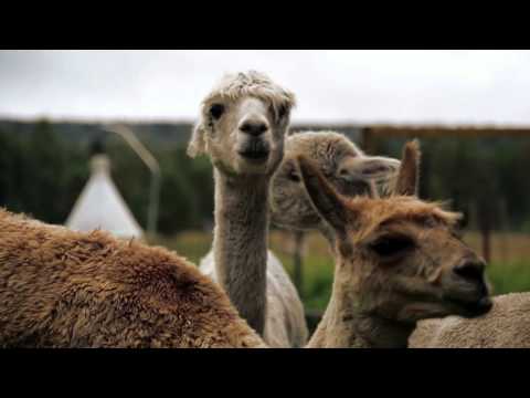 Lekebergs kommun i korta drag