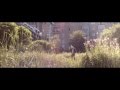 Nick Jaina - Don't Come To Me (Official)