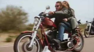 Beyond the Law - Saigon Kick - Body Bags