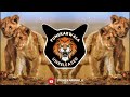 Is Jungle Mein Ham Do Sher Bambaiya Style Dj Ak Pune Punekarwala Unreleased