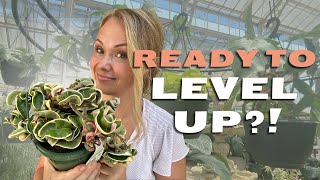 Think You Know How to Shop for Plants? Think Again!