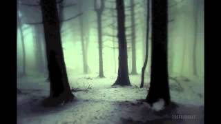 Impressions of Winter - Enigma of the Hidden Sorrow
