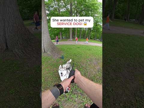 Comment “help” if you want your dog to be like Neeko! 🐕 #dogshorts